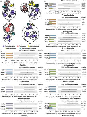 Differentiated responses of the phyllosphere bacterial community of the yellowhorn tree to precipitation and temperature regimes across Northern China